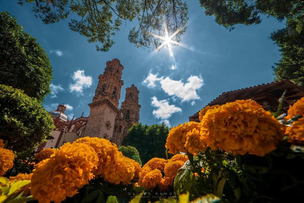 Taxco with Marigolds